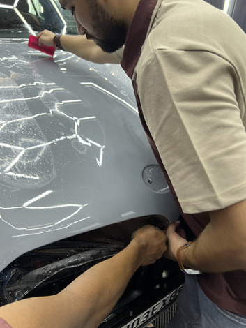 Professional Mechanics